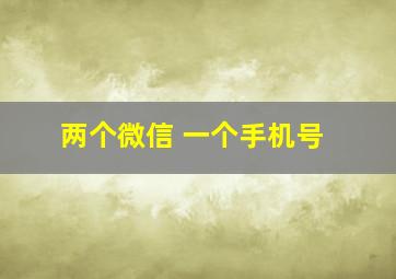 两个微信 一个手机号